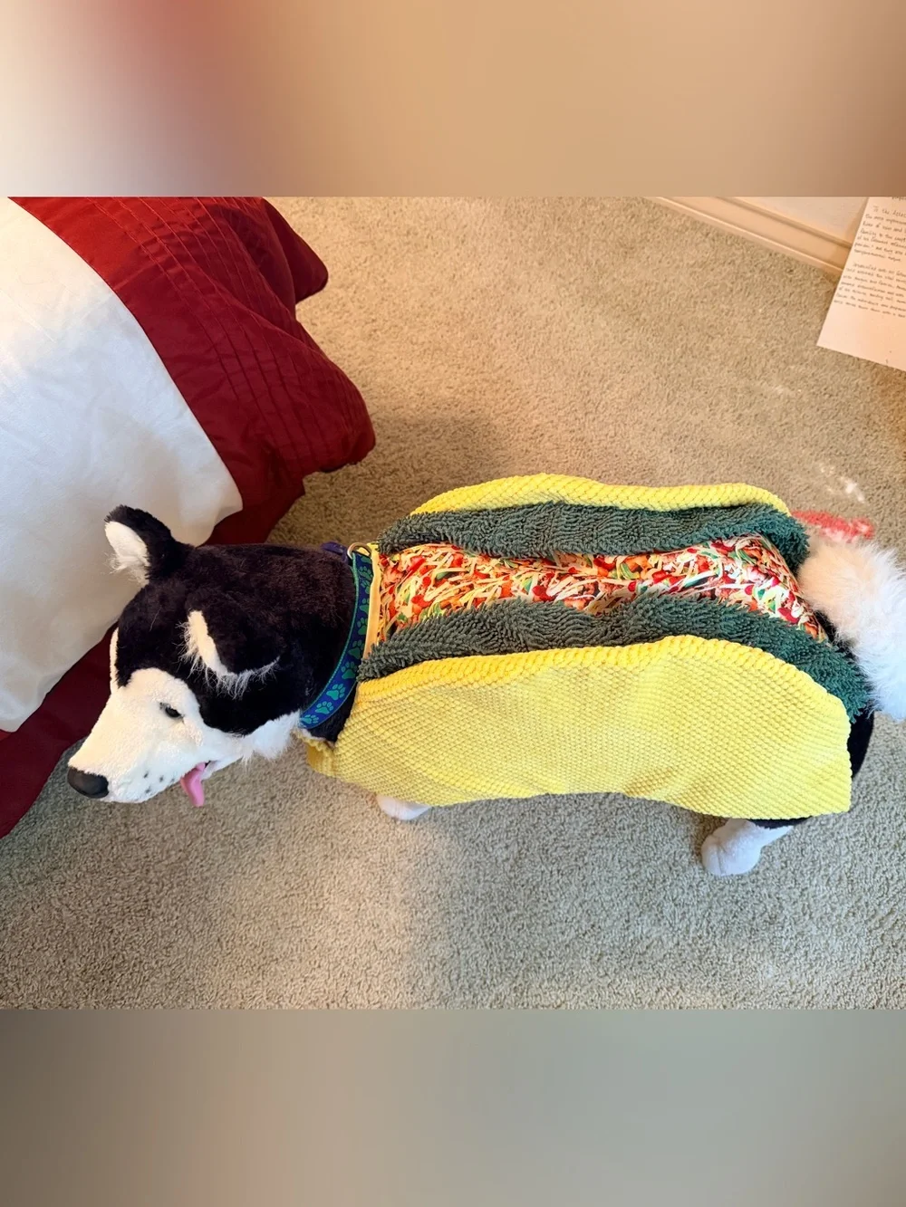 🌮 Taco ’Bout Adorable! Dog Taco Costume | Pet Halloween Outfit